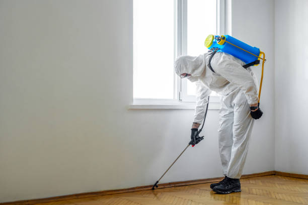 Best Mosquito Control Services  in East Sandwich, MA