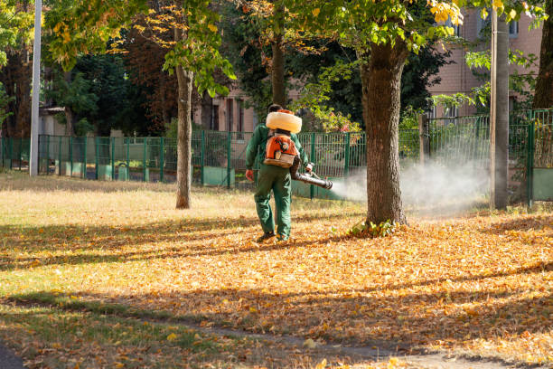Best Pest Prevention Services  in East Sandwich, MA