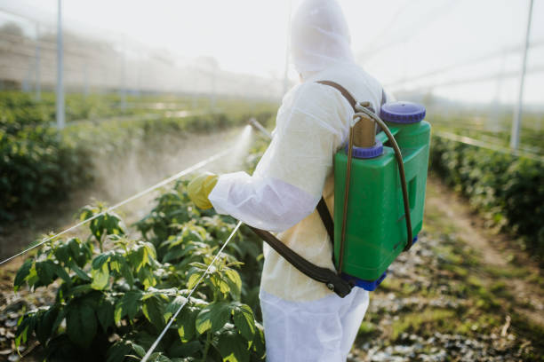 Best Pest Inspection Near Me  in East Sandwich, MA